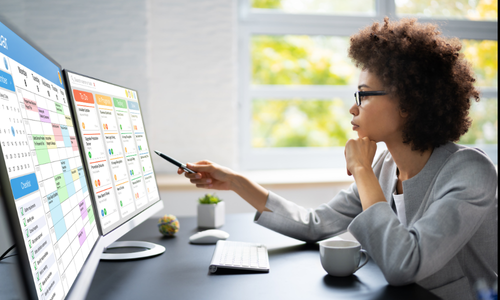 Business software interface